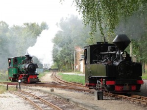 Werners Gartenbahn-Dampftage-unterwegs
